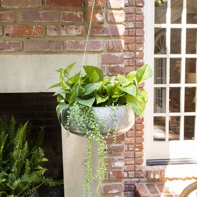 Galvanized Iron Hanging Planter Shallow
