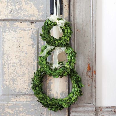 Boxwood Wreath With Ivory Ribbon Trim Set of 3