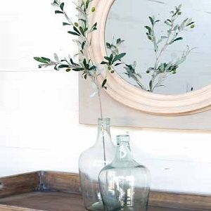 Olive Branch