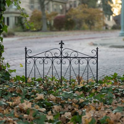 Aged Black Metal Garden Gate Fence Panel
