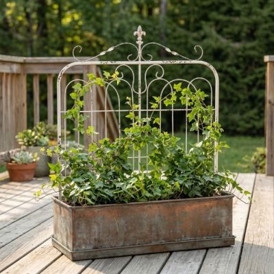 Aged White Metal Garden Gate With Fleur De Lis