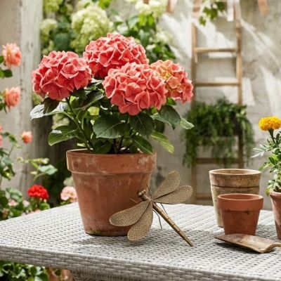 Antiqued Gold Dragonfly Figurine