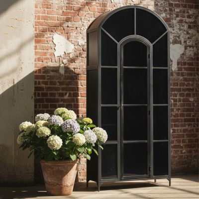 Arched Iron Cabinet