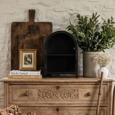 Arched Metal Glass Door Curio Cabinet