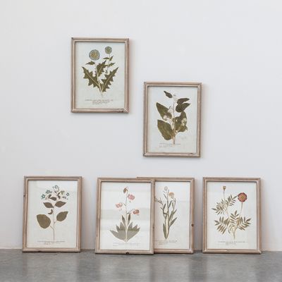 Assorted Botanical Framed Print Set of 6
