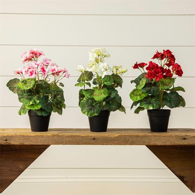 Assorted Faux Geraniums In Cement Pot Set of 3