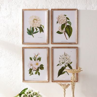 Assorted White Floral Framed Wall Art Set of 4