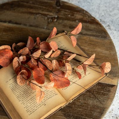 Autumn Eucalyptus and Twig Stem Set of 4