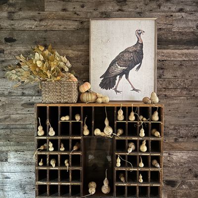 Autumn Turkey Framed Wall Decor