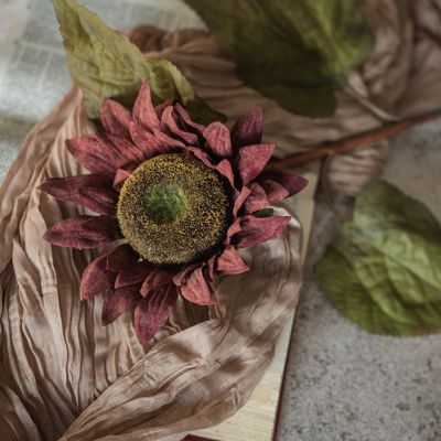 Autumn Vineyard Sunflower Stem