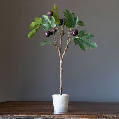 Mission Fig Faux Topiary