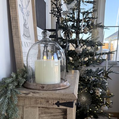 Bell Cloche On Round Wood Base