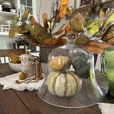 Bell Glass Garden Cloche