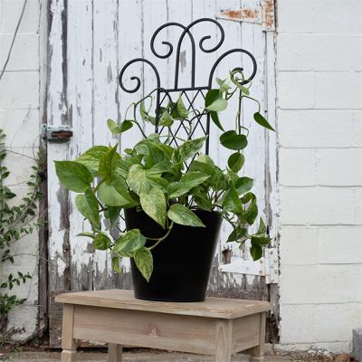 Black Metal Trellis Planter Pot