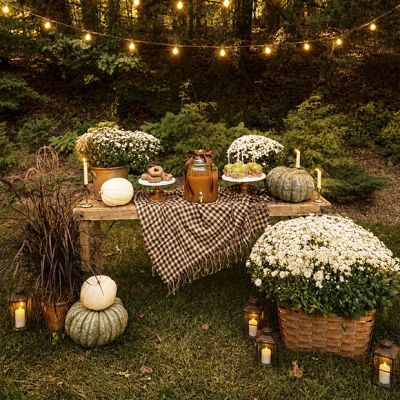 Rustic Bleached Wood Folding Wedding Table 66 Inch