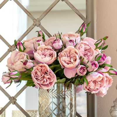 Blush Garden Rose Bundle