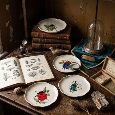 Botanical Beetle Bug Scalloped Stoneware Plate Assorted Set of 4