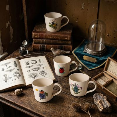 Botanical Beetle Bug Stoneware Mugs Assorted Set of 4