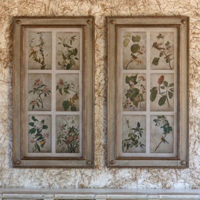 Botanical Bird Framed Print Collection Set of 2