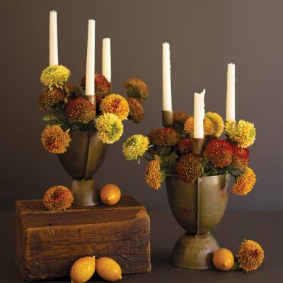 Botanical Branch Candelabra Planter Set of 2
