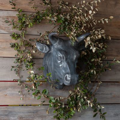 Bovine Head Wall Mount
