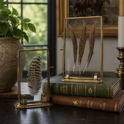 Brass Framed Glass Covered Feathers with Stand