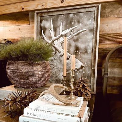 Buck Photograph Print Wall Art