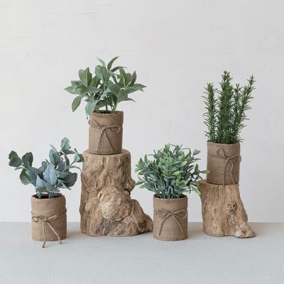 Burlap Wrapped Potted Botanicals Set of 4