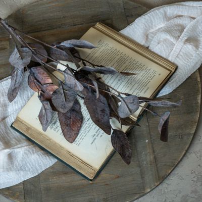 Burnished Copper Magnolia Leaf Stem