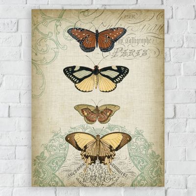 Butterfly Study II Canvas Wall Art