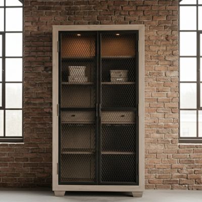 Cage Door Lighted Bookcase