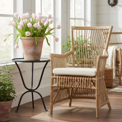 Cane and Rattan Chair Natural