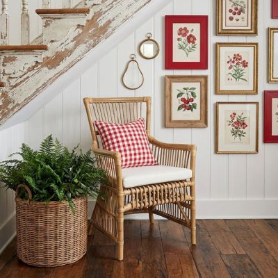 Cane and Rattan Chair Natural