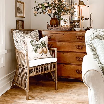 Cane and Rattan Chair
