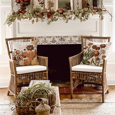 Cane and Rattan Chair