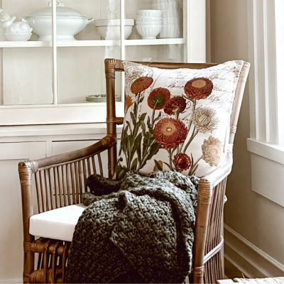 Cane and Rattan Chair
