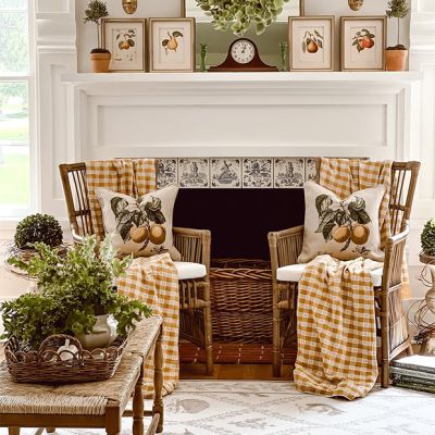 Cane and Rattan Chair
