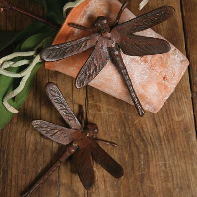 Cast Iron Garden Dragonfly
