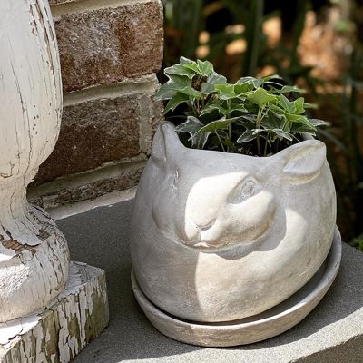 Cement Rabbit Planter With Saucer