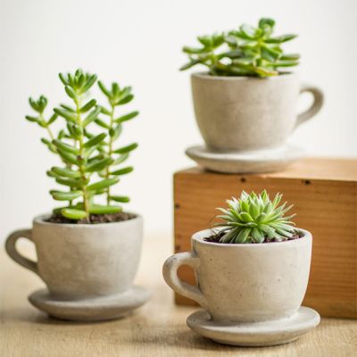 Cement Teacup Planter Pot