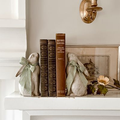 Charming Rabbit Bookends