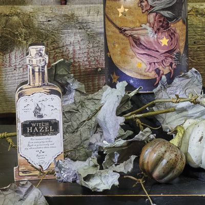 Chunky Wood Potion Bottle Set of 3