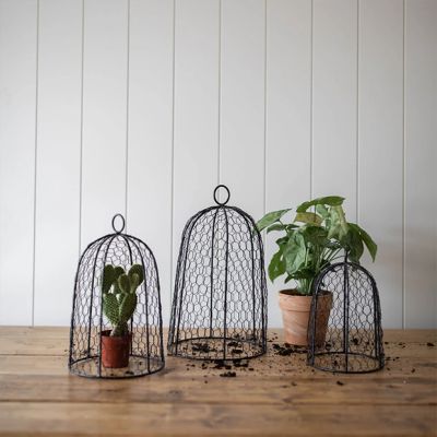 Classic Farmhouse Chicken Wire Cloche Set of 3