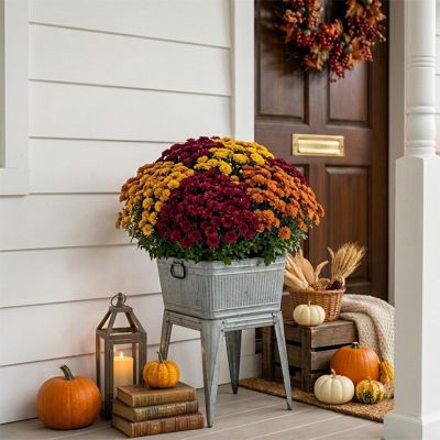 Classic Farmhouse Galvanized Beverage Tub on Stand
