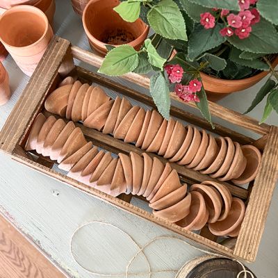 Clay Seedling Pots With Crate