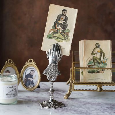 Collared Hand Desk Clip Stand