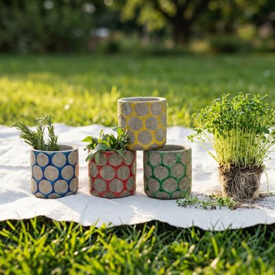 Colorful Dot Terra Cotta Mini Planter Set of 4