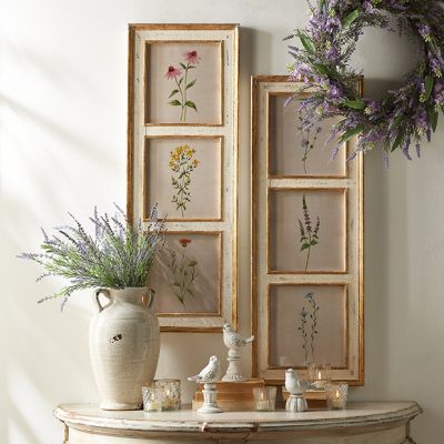 Cottage Chic Botanical Framed Wall Art Set of 2