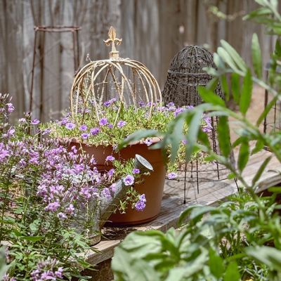 Crown Style Decorative Cloche Set of 3