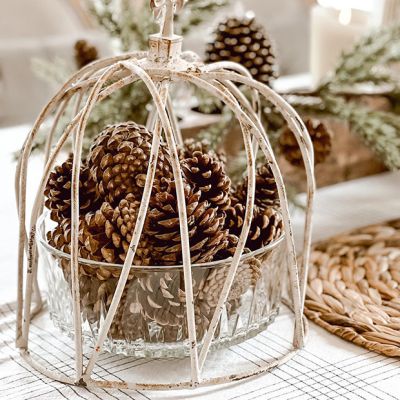 Crown Style Decorative Cloche